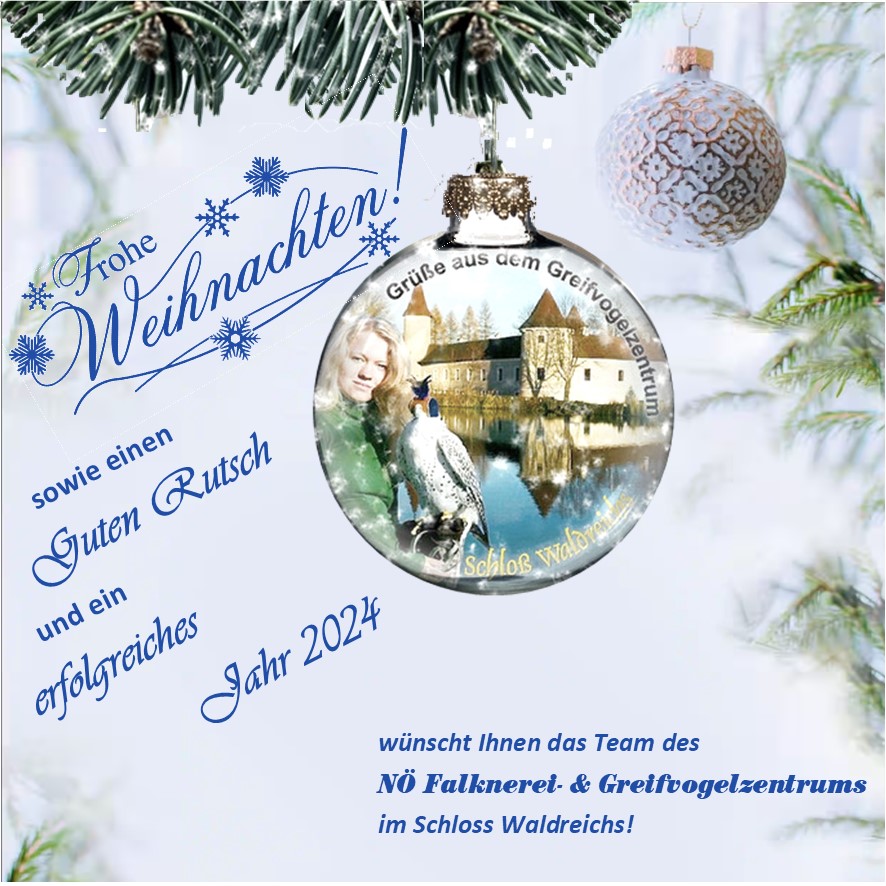 Weihnachtsgruß 2023