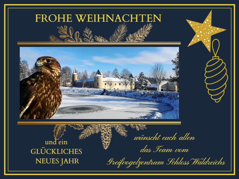 Weihnachtsgruß 2022