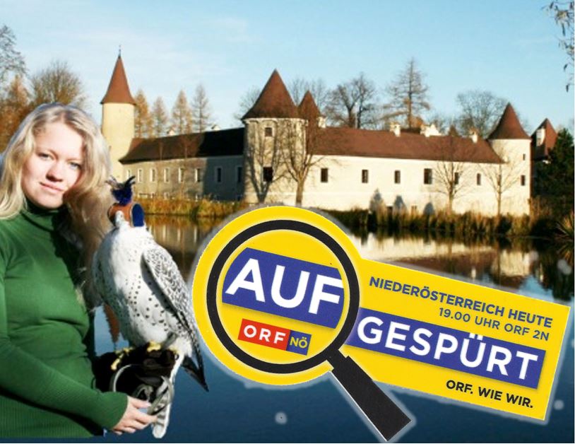 Greifvogelzentrum AUFgespuert