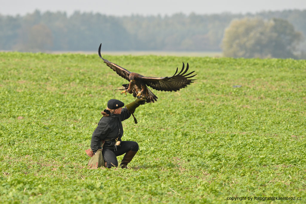 jagd09