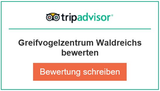 TripAdvisor Bewertung