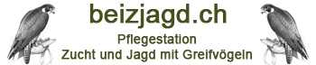 Beizjagd.ch